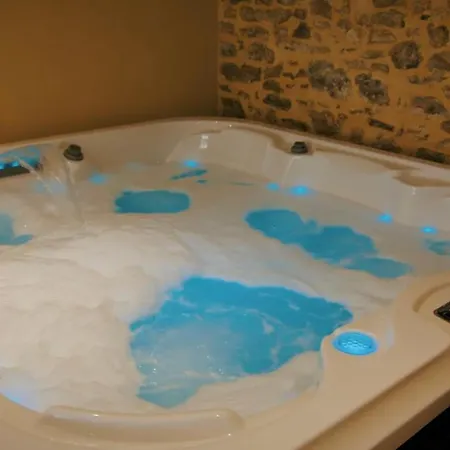 Chateau De Montmireil Bed & Breakfast 3*