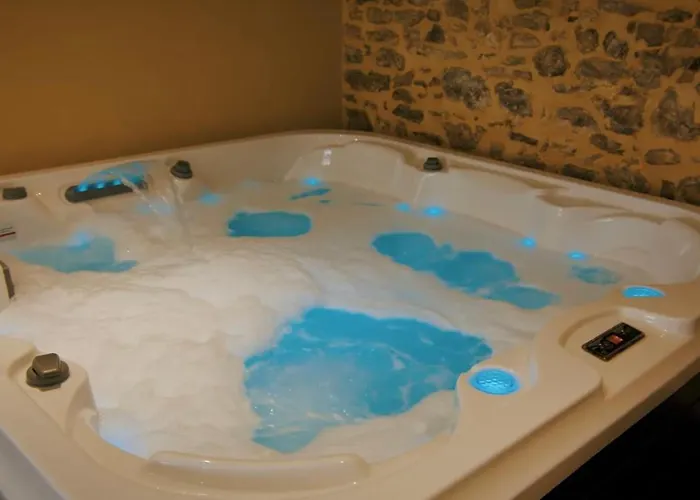 Chateau De Montmireil Bed and Breakfast 3*